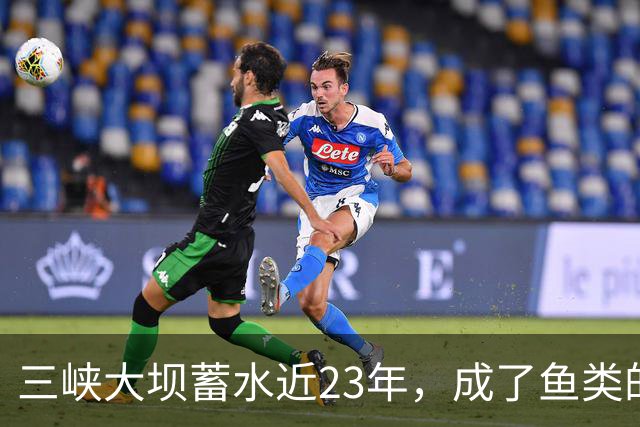 三峡大坝蓄水近23年，成了鱼类的天堂，如今库区最大鱼有多大？