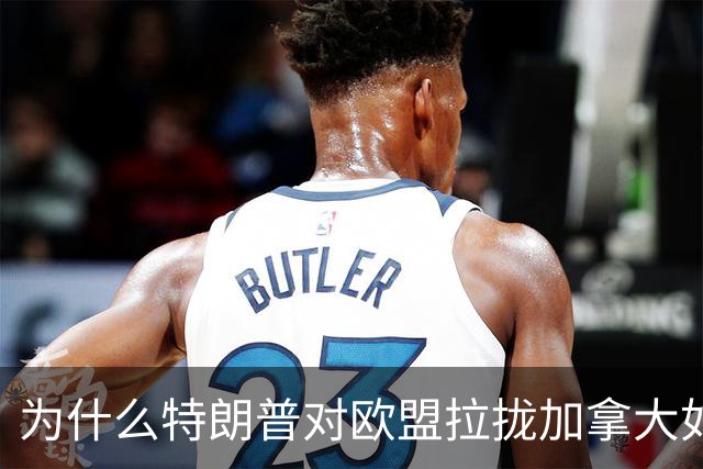 为什么特朗普对欧盟拉拢加拿大如此震怒？