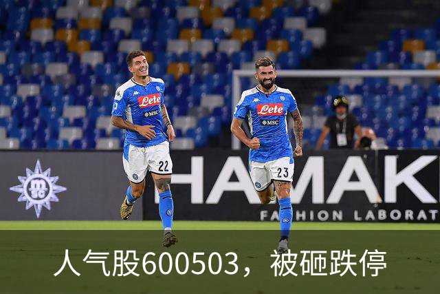人气股600503，被砸跌停