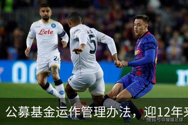 公募基金运作管理办法，迎12年来首次系统性修订！八大看点逐一解读