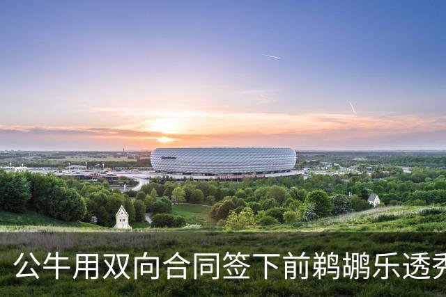 公牛用双向合同签下前鹈鹕乐透秀，他还能重新证明自己吗？