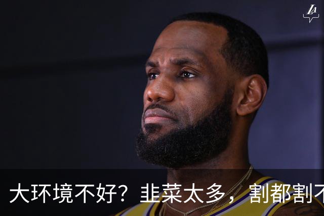 大环境不好？韭菜太多，割都割不完