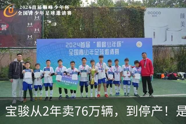 宝骏从2年卖76万辆，到停产！是什么“杀死”了“神车制造厂”？