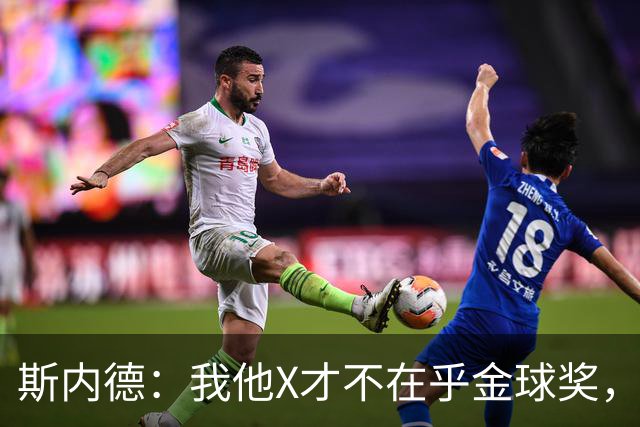 斯内德：我他X才不在乎金球奖，我和国米一起赢得了欧冠