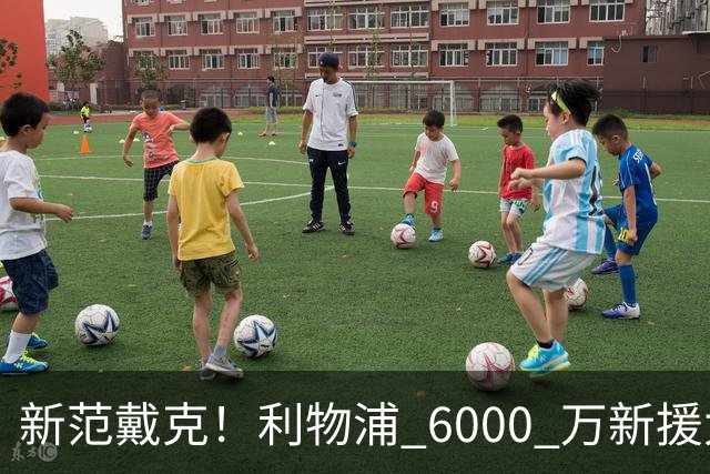 新范戴克！利物浦 6000 万新援太强，5900 万天才彻底无缘回归