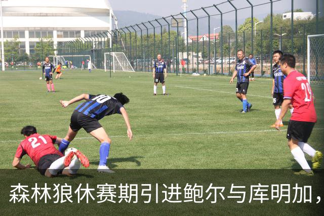 森林狼休赛期引进鲍尔与库明加，未来或东迁东部