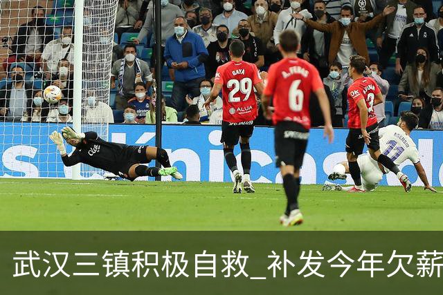 武汉三镇积极自救 补发今年欠薪 准入大概率会解决