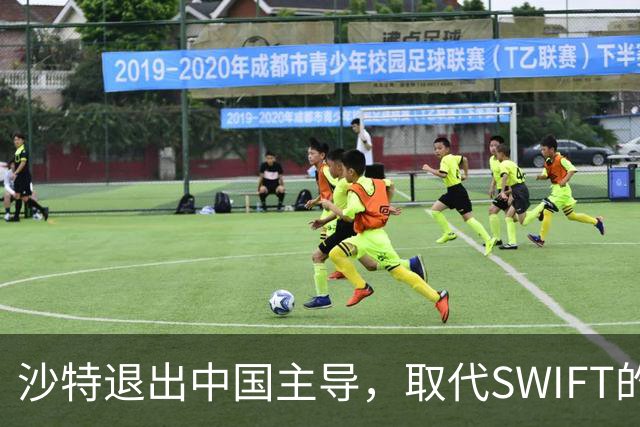 沙特退出中国主导，取代SWIFT的跨境数字货币平台；面对胡塞威胁，沙特被迫站队美国