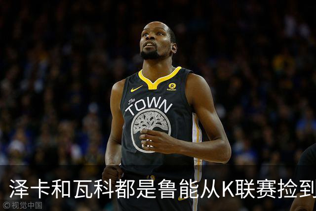 泽卡和瓦科都是鲁能从K联赛捡到的宝，如今表现不错，值得期待