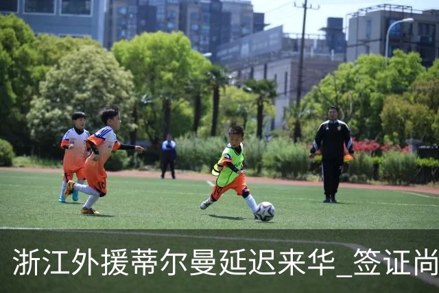 浙江外援蒂尔曼延迟来华 签证尚未办理完毕