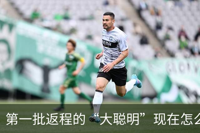 第一批返程的“大聪明”现在怎么样了？