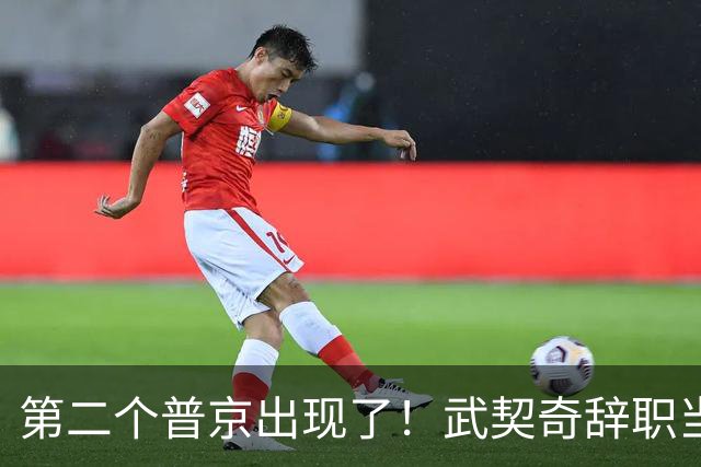 第二个普京出现了！武契奇辞职当天，两度提及中国并许下重磅承诺