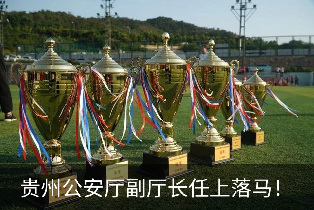 贵州公安厅副厅长任上落马！