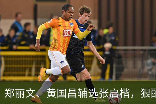 郑丽文、黄国昌辅选张启楷，狠酸绿营“当市长不是会敬酒就可以”