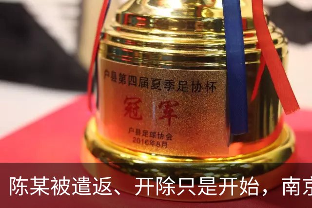 陈某被遣返、开除只是开始，南京警方已接到百起举报：这不是小事