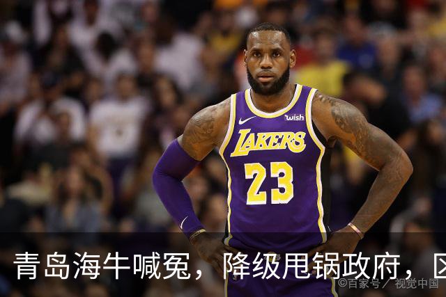 青岛海牛喊冤，降级甩锅政府，区政府承诺4000万未到账，“婆媳关系”掰扯不清