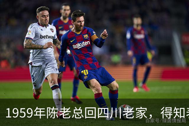 1959年陈老总回四川老家，得知表弟被关后大怒，直言：他是我亲戚！