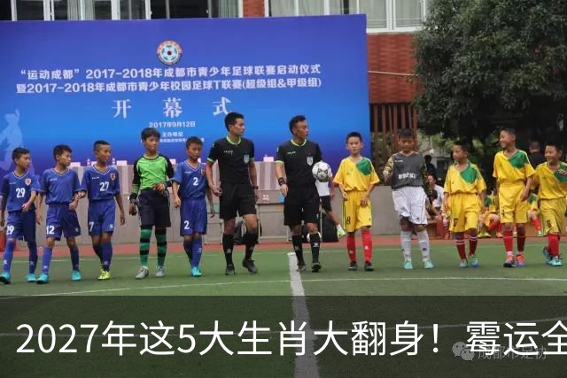 2027年这5大生肖大翻身！霉运全消，事业起飞，正财偏财全面爆发